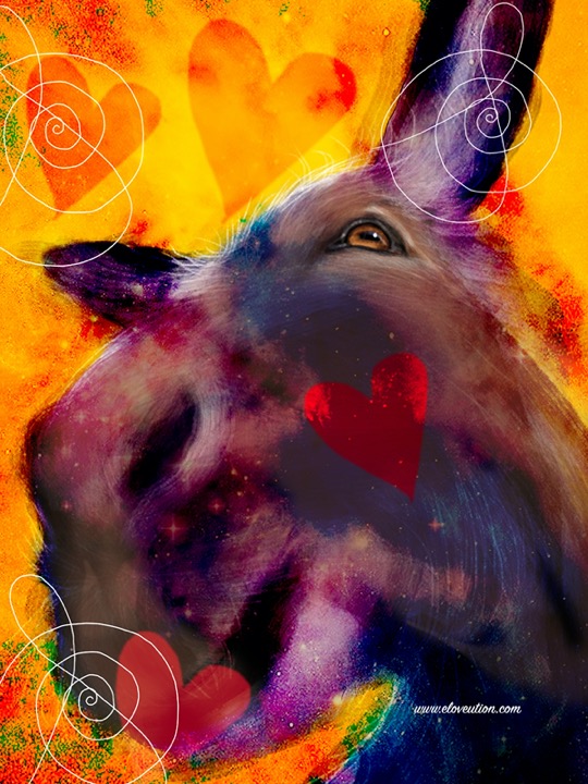 whatlovesays_april_6_2026