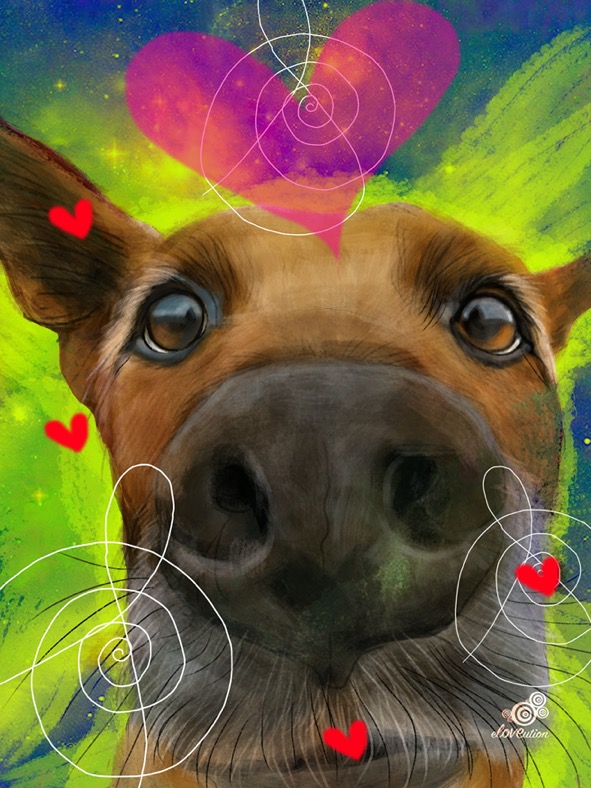 whatlovesays_Feb_16_2026