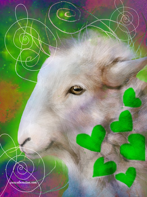 whatlovesays_Mar_1_2026