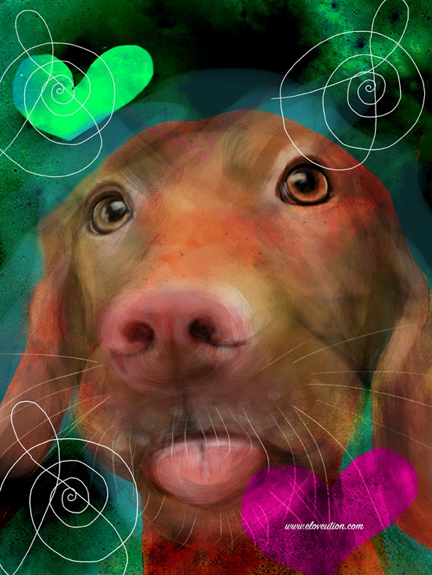 whatlovesays_March_20_2026