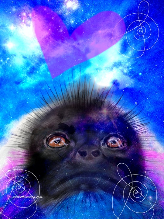 whatlovesays_March_26_2026