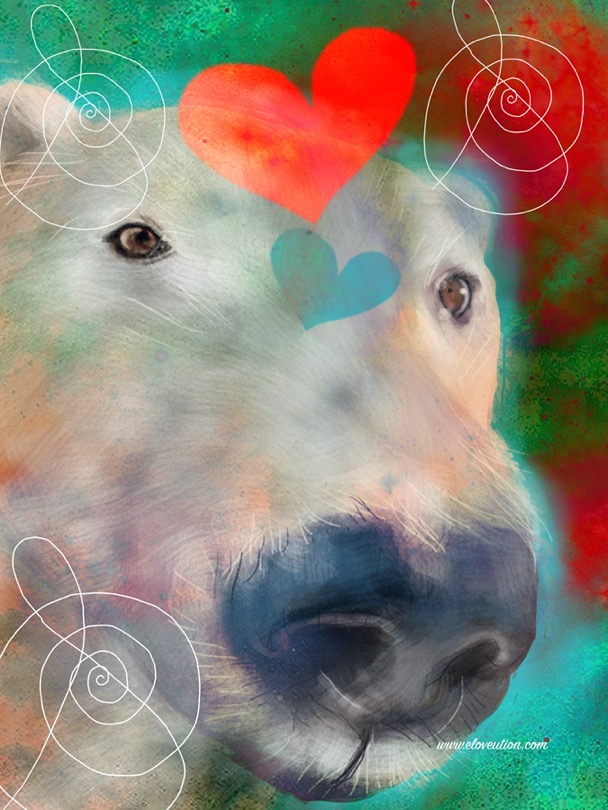 whatlovesays_March_5_2026