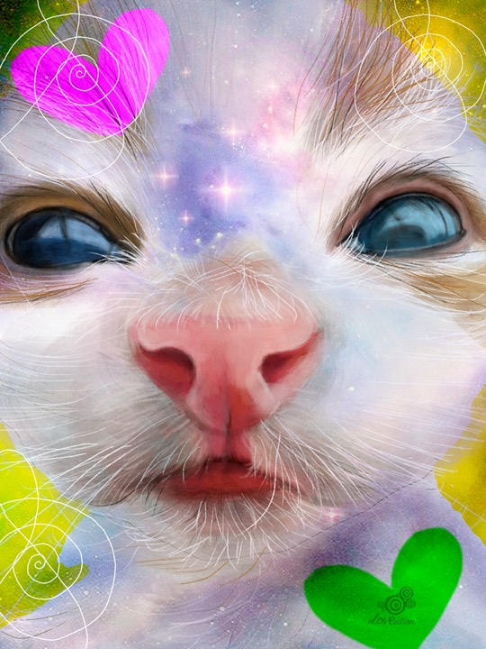 whatlovesays_Jan_27_2026